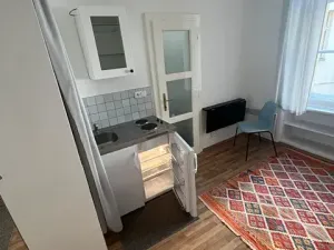 Pronájem bytu 1+kk, Praha - Vinohrady, Budečská, 20 m2