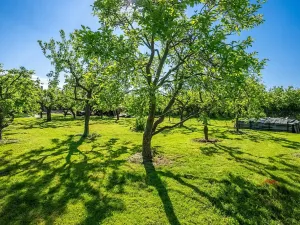 Prodej pozemku pro bydlení, Čtveřín, 1201 m2