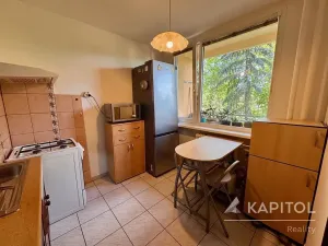 Prodej bytu 2+1, Bílina, Aléská, 48 m2