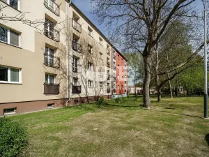 Pronájem bytu 2+1, Ostrava - Zábřeh, Čujkovova, 53 m2