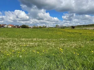 Prodej pozemku pro bydlení, Krmelín, Zahradnická, 1543 m2