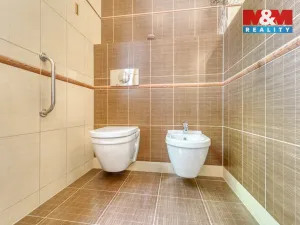 Prodej činžovního domu, Chodová Planá, Pivovarská, 379 m2