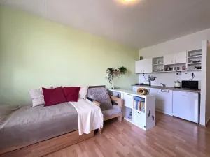 Prodej bytu 1+kk, Brno, Opálkova, 24 m2