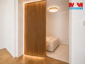Prodej bytu 1+1, Brno - Staré Brno, Hlinky, 62 m2