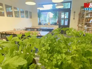 Pronájem obchodního prostoru, Česká Lípa, Moskevská, 45 m2