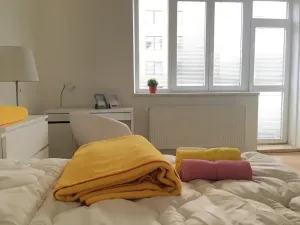 Pronájem bytu 2+1, Brno, Cihlářská, 57 m2
