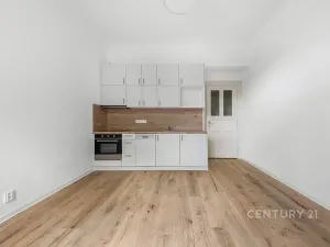 Pronájem bytu 1+kk, Praha - Nusle, Sezimova, 27 m2