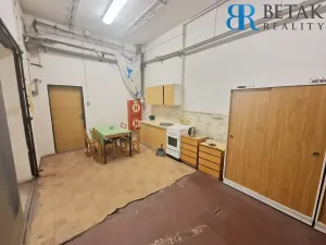 Pronájem obchodního prostoru, Přerov, Teličkova, 257 m2
