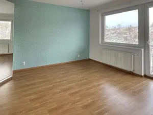 Prodej bytu 2+kk, Praha - Horní Měcholupy, Mantovská, 51 m2