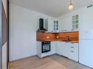Pronájem bytu 1+kk, Praha - Žižkov, Malešická, 39 m2