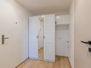Pronájem bytu 1+kk, Praha - Žižkov, Malešická, 39 m2
