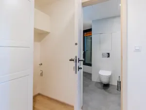 Pronájem bytu 1+kk, Praha - Žižkov, Malešická, 39 m2