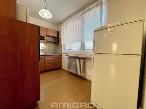 Pronájem bytu 3+1, Mokrá-Horákov, 72 m2