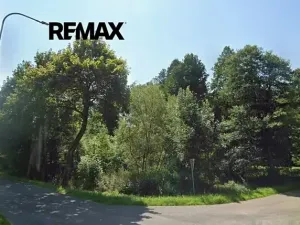 Prodej louky, Králíky, 3228 m2
