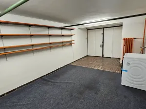 Pronájem rodinného domu, Praha - Dejvice, Krohova, 210 m2