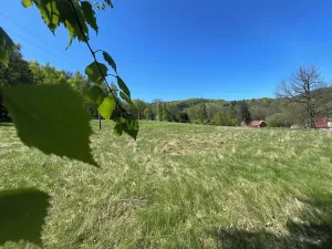 Prodej pozemku pro bydlení, Jiřetín pod Jedlovou, 40342 m2
