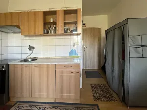 Prodej bytu 1+1, Plesná, Světlá, 35 m2