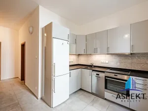 Pronájem bytu 2+1, Praha - Vinohrady, Londýnská, 65 m2