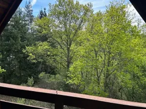 Prodej chaty, Stříbro, 35 m2