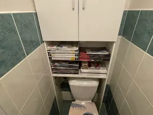 Pronájem bytu 3+kk, Brno, Kneslova, 74 m2