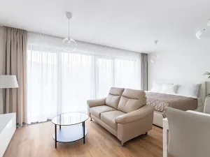 Pronájem bytu 1+kk, Brno, Lidická, 41 m2