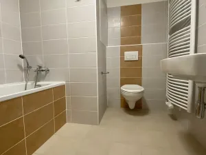 Pronájem bytu 1+kk, Olomouc, Edmunda Husserla, 34 m2