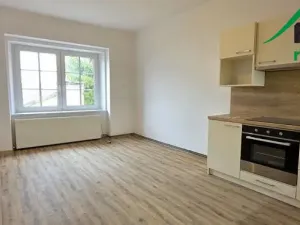 Pronájem bytu 3+1, Planá, 105 m2