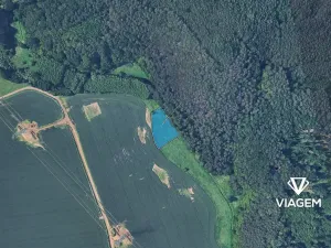 Prodej pole, Starý Plzenec, 2696 m2