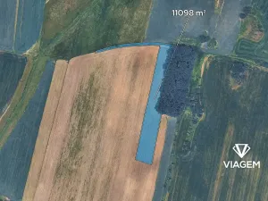 Prodej podílu pole, Olešník, 2533 m2