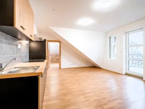 Pronájem bytu 3+kk, Čistá, 70 m2