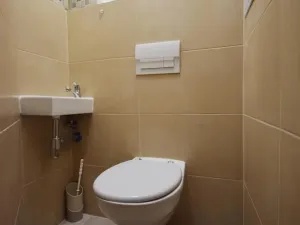 Prodej bytu 3+kk, Praha - Žižkov, Chvalova, 78 m2