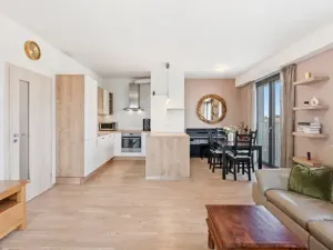 Prodej bytu 3+kk, Praha - Žižkov, Olšanská, 111 m2