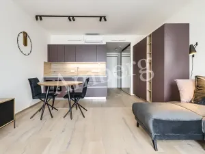 Pronájem bytu 1+kk, Praha - Karlín, Křižíkova, 34 m2