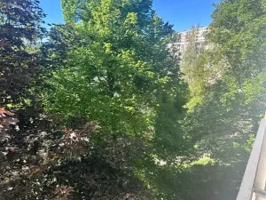 Prodej bytu 3+1, Kadaň, Husova, 66 m2