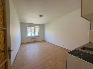 Pronájem bytu 1+kk, Praha - Nusle, Žateckých, 40 m2