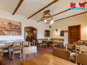 Pronájem restaurace, Třinec - Guty, 420 m2