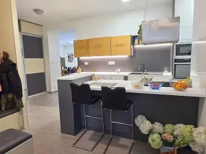 Pronájem bytu 4+kk, Praha - Bubeneč, Národní obrany, 156 m2