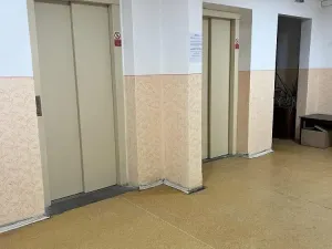 Prodej bytu 1+kk, Ostrava - Zábřeh, Petruškova, 28 m2