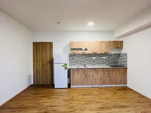 Pronájem bytu 1+kk, Olomouc, Uhelná, 40 m2