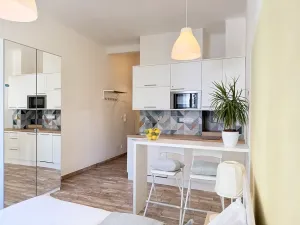 Pronájem bytu 1+kk, Praha - Vršovice, Slovinská, 22 m2
