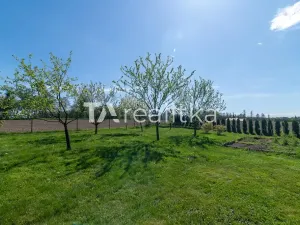 Prodej zahrady, Dolní Lutyně, Mezi Cestami, 2200 m2