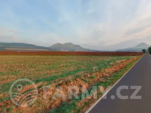 Prodej podílu pole, Lenešice, 410992 m2