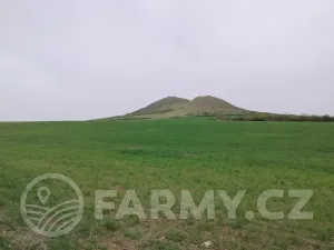 Prodej podílu pole, Lenešice, 410992 m2