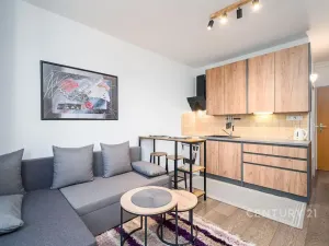Pronájem bytu 1+kk, Ústí nad Labem, Větrná, 20 m2