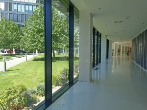 Pronájem kanceláře, Praha - Nusle, Pikrtova, 521 m2