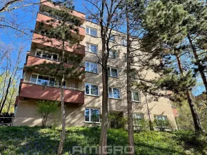 Prodej bytu 2+1, Brno, Podlesí, 53 m2