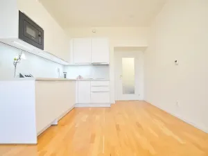 Pronájem bytu 1+kk, Praha - Vinohrady, Španělská, 28 m2