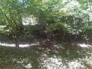 Prodej pozemku, Prostiboř, 2424 m2