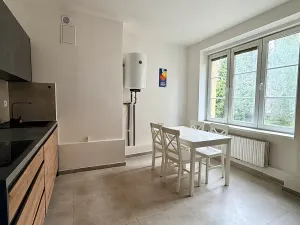 Pronájem bytu 2+1, Aš, Hlavní, 77 m2