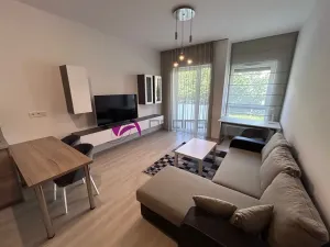 Pronájem bytu 1+kk, Olomouc, Wolkerova, 30 m2
